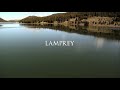 Blood Lake Attack of the Killer Lampreys 2014 Hindi Dubbed 360p