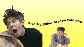 a shitty guide to jeon wonwoo