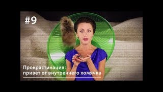 Прокрастинация: Привет От Внутреннего Хомячка // Все Как У Зверей #9