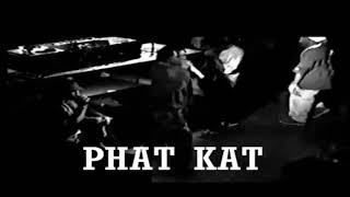Watch Slum Village Fat Cat Song video