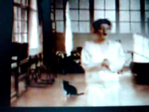 Amelia Video