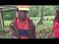 image Cara Pemupukan Yang Baik Pada Tanaman Jagung Bisi Ii 02