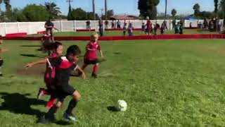khO3nZfOsQ8 Video Image
