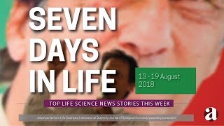 Seven Days in Life (13 - 19 August 2018)