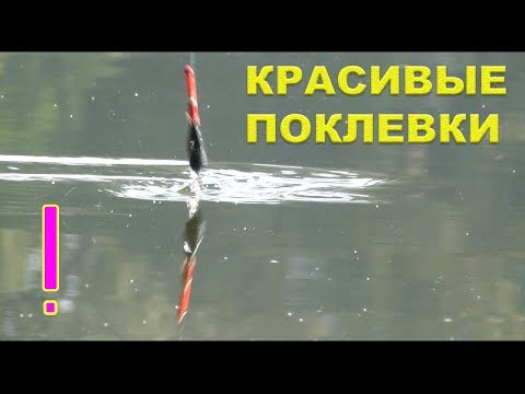 как ловить на поплавок в волге как ловить на поплавок в волге