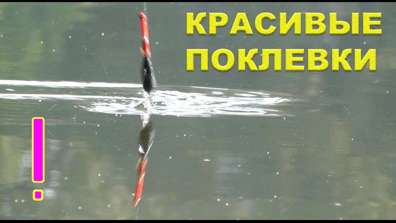 новое в поплавочной ловле новое в поплавочной ловле