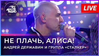 Андрей Державин - Не Плачь, Алиса (Live@2022)