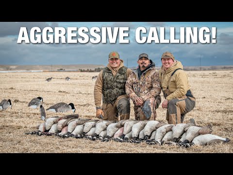 VLOG HUNT VIDEOS