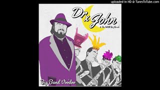 Watch Dr John My Indian Red feat WDR Big Band video