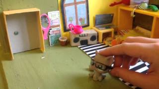Смотреть видео Домик Петшопов бесплатно онлайн скачать в качестве hd 720
