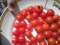 cherry tomatoes home grown