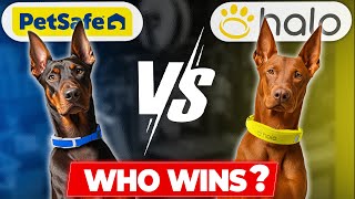 Halo Collar 4 Vs Petsafe Guardian Gps Tracking Collar Which One Is Best?