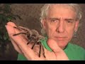 Entomologist Hal Coleman on Spider BitesWhen Spiders Bites.