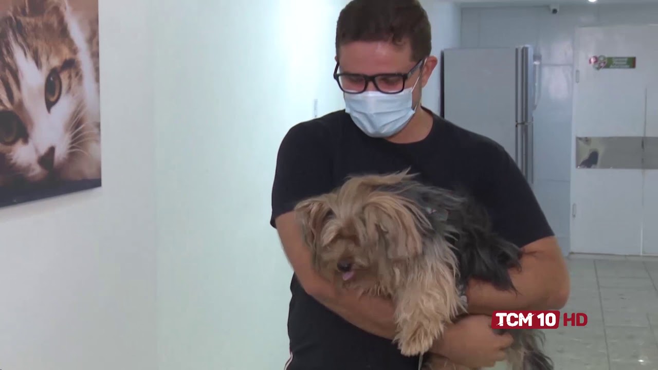 TCM Notícia - Médico explica benefícios da castração animal