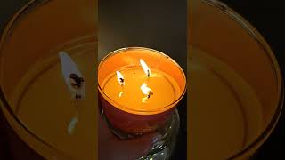 Hidden Messages Inside The Bath & Body Works X Disney Princess Candles