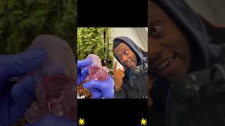 La Surprise Inattendue Co-Écrit Avec 2Sdoublea