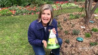 Garden Girl: Off You Pop, Possums!