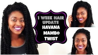 Update: Janet Collection Havana Mambo Twist Hair Review