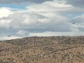 Racing airplanes fast and low - P-51 Mustangs at Reno air races, Stead Field