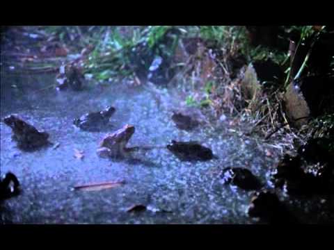 The Last Wave - HQ Trailer 2010