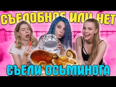 ЗАСТАВИЛИ СЪЕСТЬ ОСЬМИНОГА! - СЪЕДОБНОЕ ИЛИ НЕТ ЗАСТАВИЛИ СЪЕСТЬ ОСЬМИНОГА! - СЪЕДОБНОЕ ИЛИ НЕТ
