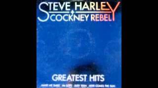 Watch Steve Harley The Last Time I Saw You video