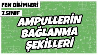 7. Sınıf Fen Bilimleri - Ampullerin Bağlanma Şekilleri 2022