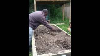Potatoes Planting