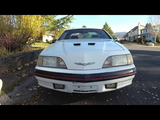 Video Preview Image