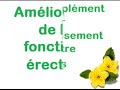 agrandissement penis