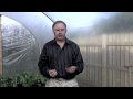 polytunnels