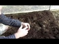 polytunnels