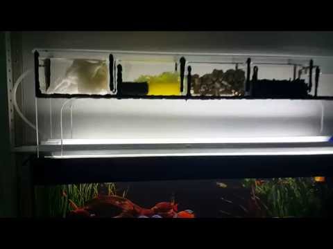 Как сделать бесшумный аквариум Как сделать бесшумный аквариум