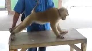 funny,funny videos,funny vines,funny fails,funny videos 2018,funny pranks,funny kids,funny cat,funny