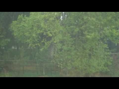 Barkha Rani Zara Jamke Barso.wmv