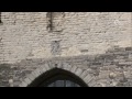 semini