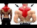 Upper Traps Middle Traps And Lower Traps Workout Gym - Traps
