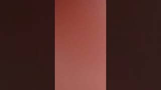 Anchor Shyamala Holi Celebrations Shyamala Instagram Reel