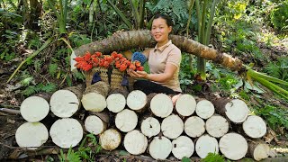 Harvest Giant Taro And Bring It To The Market To Sell Pet Care Cooking Trieu Mai Huong