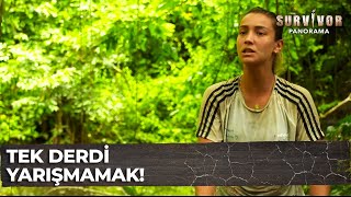 Evrim, Barışı Eleştiri Yağmuruna Tuttu Survivor Panorama 99.Bölüm