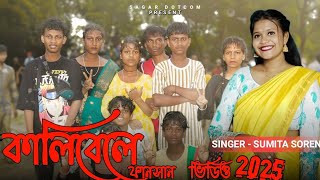 Pagla Bhawar Sumita Soren New Santali Fansan Video Song 2025