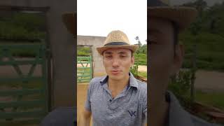 Ao dia da poesia e para todos os poetas do meu Brasil e do mundo