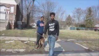 DETROIT: AMAZING GHETTO SCENERY/ A TALK WITH A LOCAL