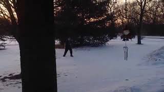 Greatest Freak Out Ever 31 Original Video In Reverse