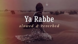 Ya rabbe / slowed and reverbed / kadina kadoramee andakadaham