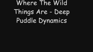 Watch Deep Puddle Dynamics Where The Wild Things Are video