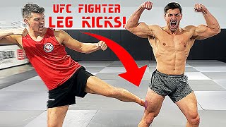 Leg Kicked By Pro Ufc Fighter Stephen Wonderboy Thompson Crazy Pain Bodybuilder Vs Mma Challenge