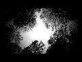 Blickfeld Video preview