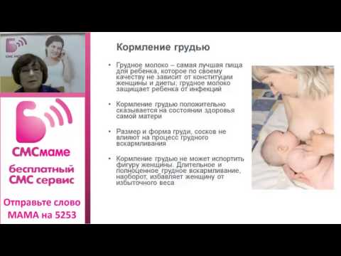 Общероссийский классификатор занятий ОК 010-93 (ОКЗ) (утв) ОСНОВНЫЕ ПРИНЦИПЫ КОМПОЗИЦИИ ЗЕЛЕНЫХ НАСАЖДЕНИЙ. Ландшафт