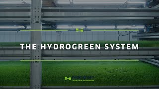 Indoor Hydroponic Animal Feed Grown In A Hydrogreen System